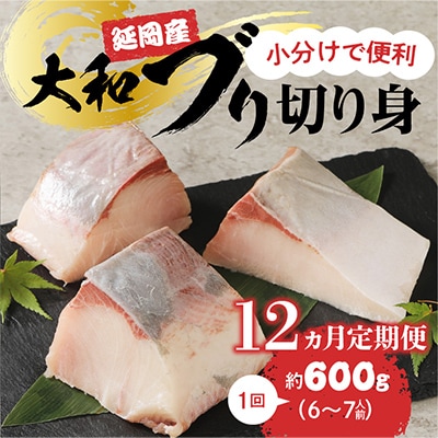 【毎月定期便】大和ブリの切り身　約600g 全12回