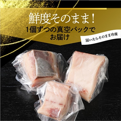 【毎月定期便】大和ブリの切り身　約600g 全12回