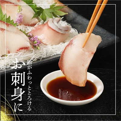 【毎月定期便】大和ブリの切り身　約600g 全12回