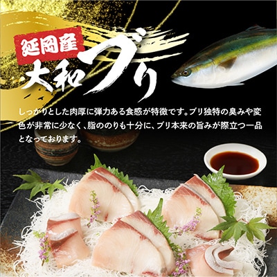 【毎月定期便】大和ブリの切り身　約600g 全12回