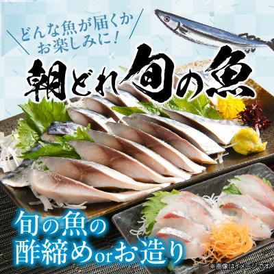 【毎月定期便】頑張る自分へのご褒美セット全12回