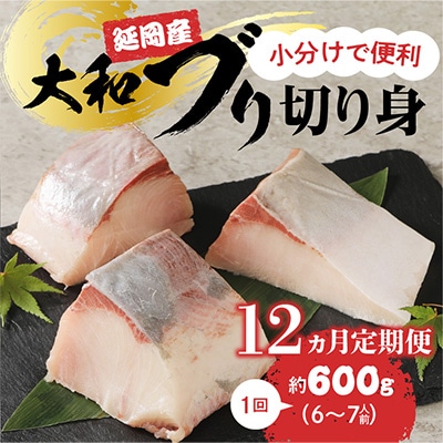 2023年12月発送開始『定期便』大和ブリの切り身　約600g　全12回