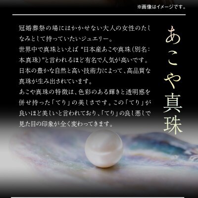あこや本真珠イヤリング 真珠金ホワイトゴールド お礼品詳細