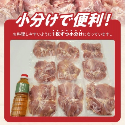 【元祖チキン南蛮直ちゃんのチキン南蛮たれ付き】宮崎県産若鶏もも肉 3kg