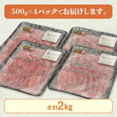 内閣総理大臣賞4連覇 宮崎牛 カルビ 焼肉 バーベキュー用 2kg (500g×4パック)