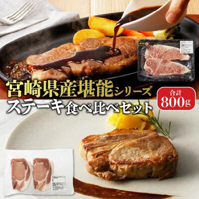 ステーキ食べ比べセット(宮崎牛ロースステーキ/宮崎産豚トンテキ)合計800g(延岡市)