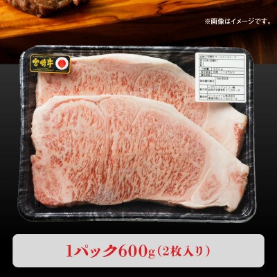 宮崎牛 A4～A5ランク サーロインステーキ 合計600g(300g×2枚)(延岡市)