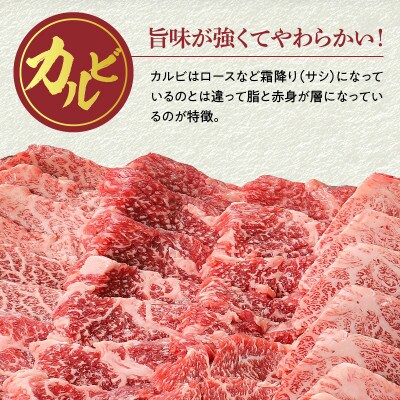 宮崎県産黒毛和牛 カルビ焼肉 切り落とし 合計1.5kg(500g×3パック)