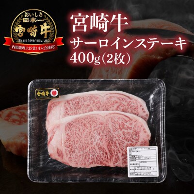 宮崎牛サーロインステーキ&ハンバーグ用ひき肉(ミンチ)セット 合計1.1kg