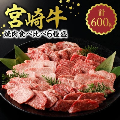 内閣総理大臣賞4連覇 宮崎牛 焼肉食べ比べ6種盛(サーロイン・カルビなど) 600g