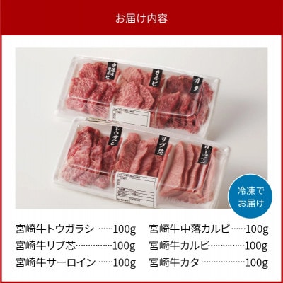 内閣総理大臣賞4連覇 宮崎牛 焼肉食べ比べ6種盛(サーロイン・カルビなど) 600g