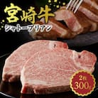 内閣総理大臣賞4連覇 A4～A5 超希少部位 宮崎牛 シャトーブリアン ステーキ 2枚 合計300g