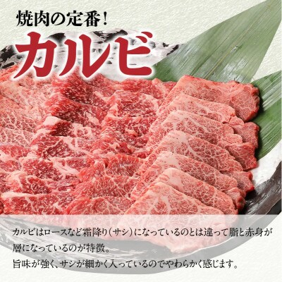 【2024年2月より順次発送】宮崎牛A4～A5 カルビ 焼肉・バーベキュー用 1kg(500g×2)