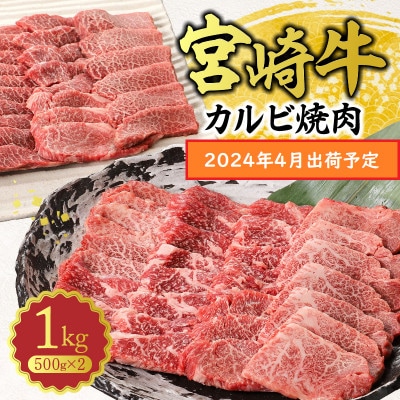 【2024年4月より順次発送】宮崎牛A4～A5 カルビ 焼肉・バーベキュー用 1kg(500g×2)
