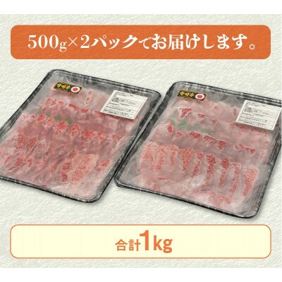 【2024年4月より順次発送】宮崎牛A4～A5 カルビ 焼肉・バーベキュー用 1kg(500g×2)