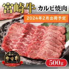 【2024年2月より順次発送】宮崎牛 A4～A5 カルビ 焼肉・バーベキュー用 500g