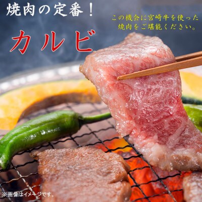 【2024年3月より順次発送】宮崎牛 A4～A5 カルビ 焼肉・バーベキュー用 500g