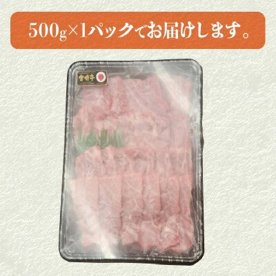 【2024年4月より順次発送】宮崎牛 A4～A5 カルビ 焼肉・バーベキュー用 500g