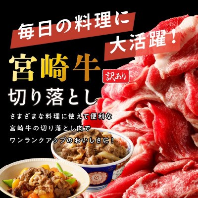【訳あり品】宮崎牛 切り落とし 1kg