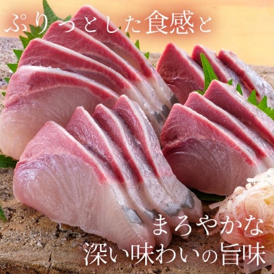 宮崎産 金太郎ぶり 2000g(冷蔵)