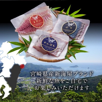 宮崎産 刺身3種セット 真鯛・ぶり・カンパチ 各種900g 計2700g(冷蔵)