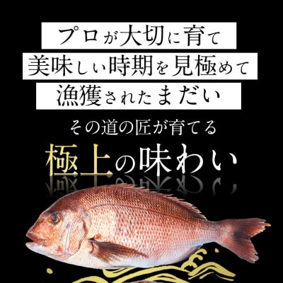 宮崎産 みやざきまだい 皮なし 1000g(冷凍)