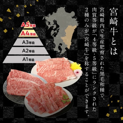 宮崎牛 モモスライス 500g(延岡市)