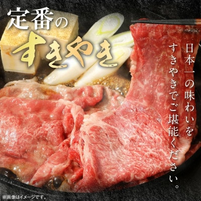 宮崎牛 モモスライス 500g(延岡市)