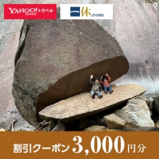 【宮崎県延岡市】一休.com・Yahoo!トラベル割引クーポン(3,000円分)