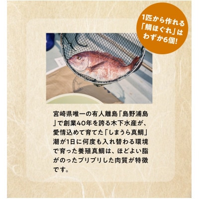 濃厚鯛ほぐれ　100g×2種類