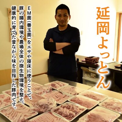 延岡よっとん　ウデ&モモ　ブロック約1.8kg