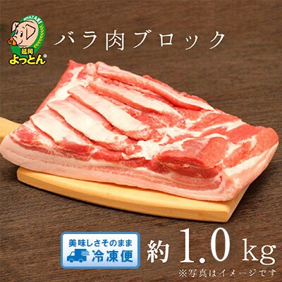 延岡よっとん　バラ　ブロック約1.0kg