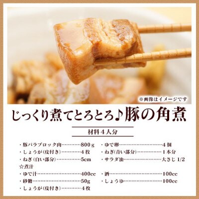 延岡よっとん　バラ　ブロック約1.0kg
