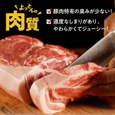 延岡よっとん　肩ロース　ブロック約1.0kg