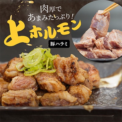 【毎月定期便】上ホルモン・白ホルモンセット(タレ付き)各200g×2パック合計800g全3回
