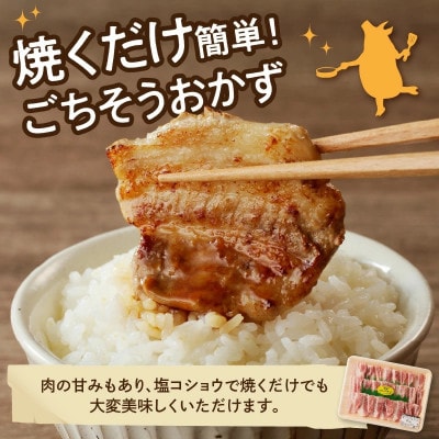 【宮崎ブランドポーク】豚バラ焼肉約1kg(延岡市)
