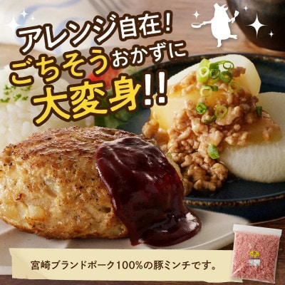宮崎ブランドポーク 豚ミンチ 約1kg(延岡市)