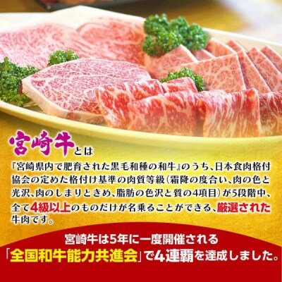 宮崎牛焼肉450g(A5等級)(延岡市)