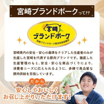 豚ロース生姜焼きタレ漬け (330g×2袋)計約660g(延岡市)