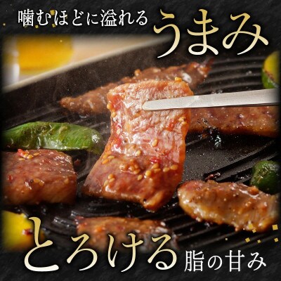 宮崎牛タレ漬け焼肉用約450g(延岡市)