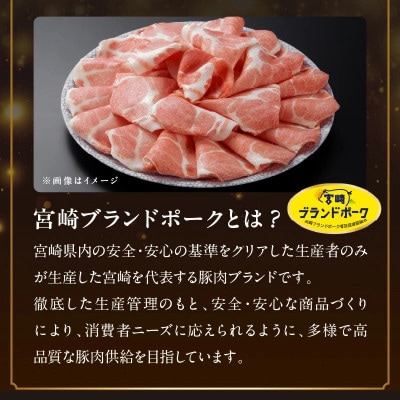 【発送月固定定期便】宮崎県産　牛・豚・鶏バラエティセット全12回