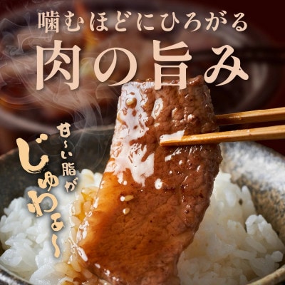 内閣総理大臣賞4連覇 宮崎牛 4等級以上  黒毛和牛 牛肉 カルビ 焼肉 バーベキュー 500g
