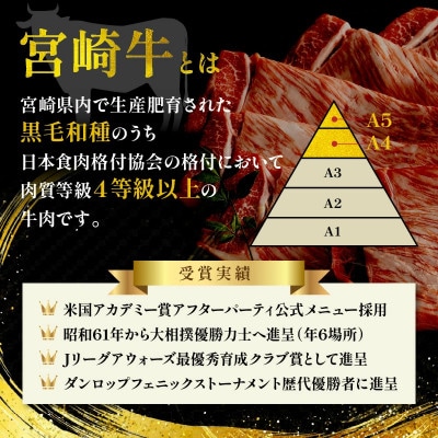 【3ヵ月毎定期便】宮崎牛バラエティー定期便カルビ焼肉・切落とし・ミンチ・モモスライス(延岡市)全4回