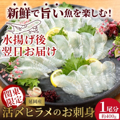 【関東限定企画】今が旬!脂のりを迎えた延岡産活〆ヒラメのお刺身 えんがわも美味!【さとふる限定】