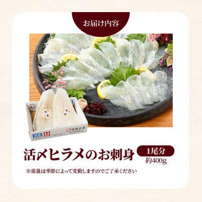 【関東限定企画】今が旬!脂のりを迎えた延岡産活〆ヒラメのお刺身 えんがわも美味!【さとふる限定】