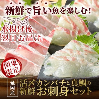 【関東限定企画】真鯛の上品さと延岡産活〆カンパチの脂を味わうお刺身セット【さとふる限定】