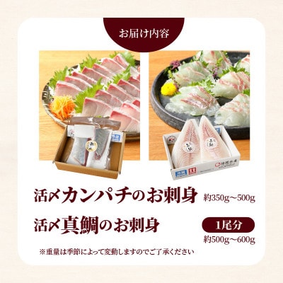 【関東限定企画】真鯛の上品さと延岡産活〆カンパチの脂を味わうお刺身セット【さとふる限定】