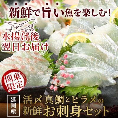 【関東限定企画】豪華白身の饗宴!延岡産活〆真鯛とヒラメの新鮮お刺身セット【さとふる限定】