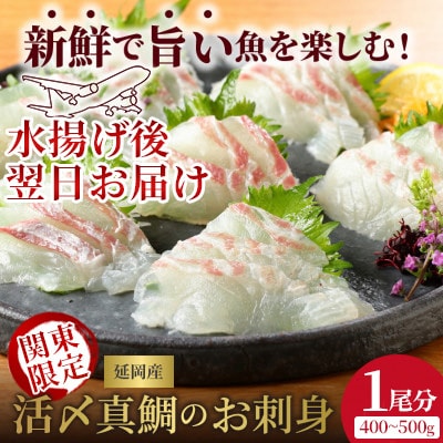 【関東限定企画】延岡産 日向灘育ち!活〆真鯛のお刺身400g～500g【さとふる限定】