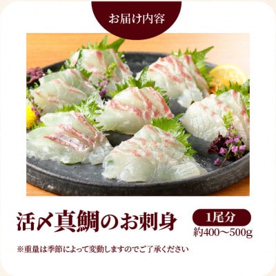 【関東限定企画】延岡産 日向灘育ち!活〆真鯛のお刺身400g～500g【さとふる限定】
